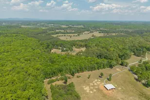6999 Blenheim Rd, Scottsville, VA 24590 - Photo 33