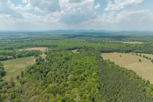 6999 Blenheim Rd, Scottsville, VA 24590 - Photo 37