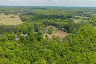 6999 Blenheim Rd, Scottsville, VA 24590 - Photo 31