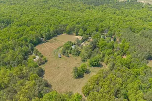 6999 Blenheim Rd, Scottsville, VA 24590 - Photo 39