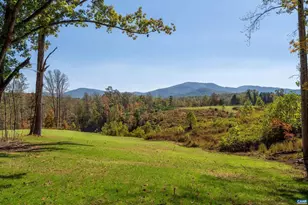 7337-4B Dick Woods Rd, Afton, VA 22920 - Photo 3