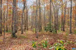 21 Acres Tbb Coles Rolling Rd, Scottsville, VA 24590 - Photo 3