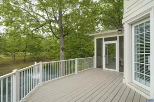 1631 Gatewick Pl, Keswick, VA 22947 - Photo 51