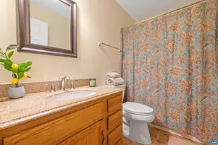1621 Shady Grove Ct, Charlottesville, VA 22902 - Photo 31