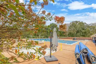 653 Tyree Ln, Charlottesville, VA 22901 - Photo 63