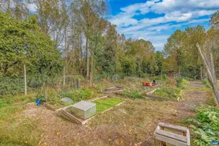 653 Tyree Ln, Charlottesville, VA 22901 - Photo 65