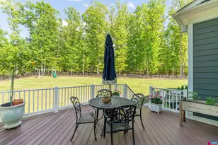 421 Houndstooth Ct, Charlottesville, VA 22901 - Photo 55