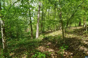 418 James River Rd, Scottsville, VA 24590 - Photo 47