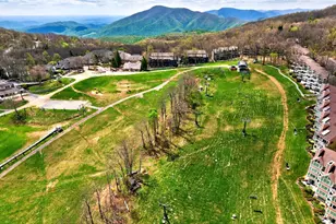 247 Timbers Condos, Wintergreen Resort, VA 22958 - Photo 29