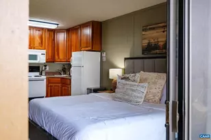247 Timbers Condos, Wintergreen Resort, VA 22958 - Photo 9