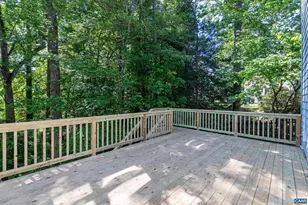 1353 Singleton Ln, Charlottesville, VA 22903 - Photo 27