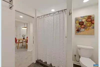 1408 Baker St, Charlottesville, VA 22903 - Photo 37