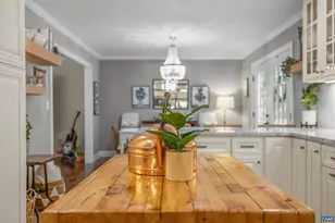 134 W Park Dr, Charlottesville, VA 22901 - Photo 35