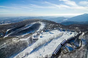 67 S Forest Dr, Wintergreen Resort, VA 22967 - Photo 41