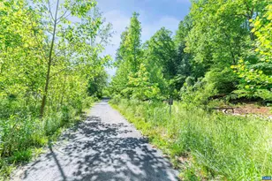 1708 Vermira Pl, Charlottesville, VA 22901 - Photo 33