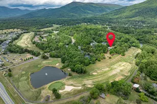 110 High Crest Ln, Nellysford, VA 22958 - Photo 69