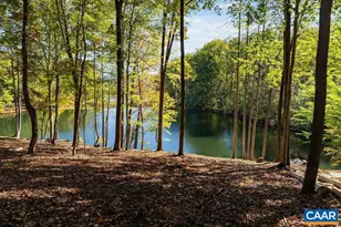 105 Saddleback Knoll, Nellysford, VA 22958 - Photo 67