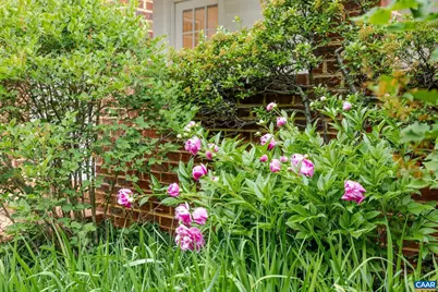 555 Dryden Pl, Charlottesville, VA 22903 - Photo 53