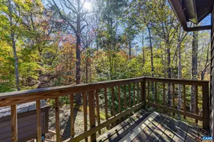 2530 Gillums Ridge Ln, Charlottesville, VA 22903 - Photo 27
