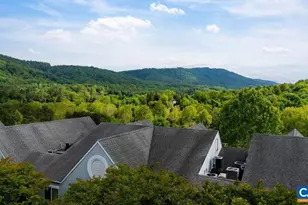 1604 Monticello Ave, Charlottesville, VA 22902 - Photo 23