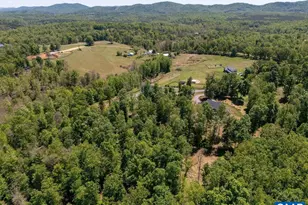 6574 Dick Woods Rd, Charlottesville, VA 22903 - Photo 63