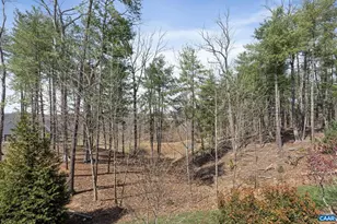 542 Drumin Rd, Keswick, VA 22947 - Photo 35