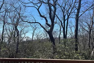 30 Gumtree Dr, Wintergreen Resort, VA 22967 - Photo 55