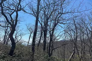 30 Gumtree Dr, Wintergreen Resort, VA 22967 - Photo 57