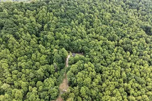 280 Hidden Acres Ln, Amherst, VA 24521 - Photo 59