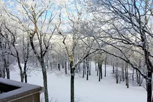 2063 Stone Ridge Condos, Wintergreen Resort, VA 22967 - Photo 19