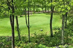 2063 Stone Ridge Condos, Wintergreen Resort, VA 22967 - Photo 3