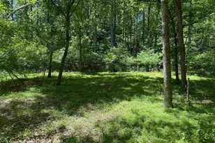 540 Willwood Dr, Earlysville, VA 22936 - Photo 61