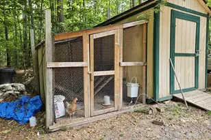 981 Scotts Bottom Rd, Dillwyn, VA 23936 - Photo 41