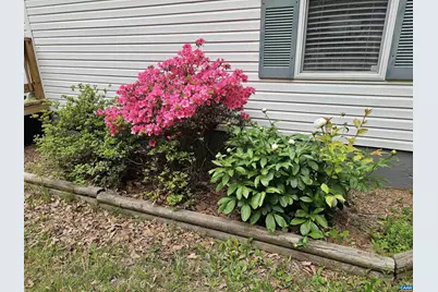 981 Scotts Bottom Rd, Dillwyn, VA 23936 - Photo 3
