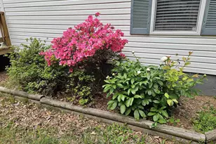 981 Scotts Bottom Rd, Dillwyn, VA 23936 - Photo 3