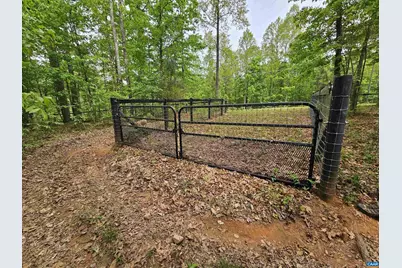 981 Scotts Bottom Rd, Dillwyn, VA 23936 - Photo 55