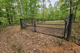 981 Scotts Bottom Rd, Dillwyn, VA 23936 - Photo 55