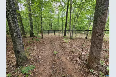 981 Scotts Bottom Rd, Dillwyn, VA 23936 - Photo 53