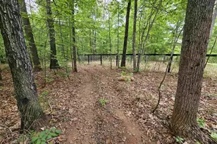 981 Scotts Bottom Rd, Dillwyn, VA 23936 - Photo 53