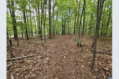 981 Scotts Bottom Rd, Dillwyn, VA 23936 - Photo 47