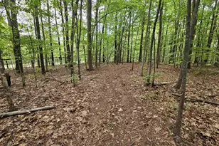 981 Scotts Bottom Rd, Dillwyn, VA 23936 - Photo 47
