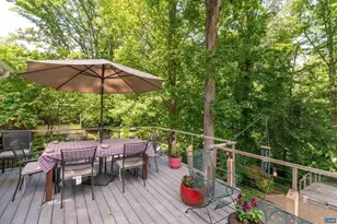 1718 Old Forge Rd, Charlottesville, VA 22901 - Photo 43