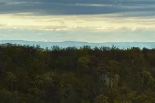 45 Timber Camp Dr, Wintergreen Resort, VA 22967 - Photo 31