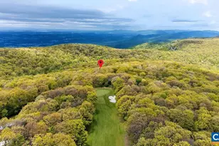 45 Timber Camp Dr, Wintergreen Resort, VA 22967 - Photo 59