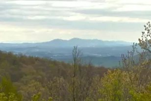 45 Timber Camp Dr, Wintergreen Resort, VA 22967 - Photo 37