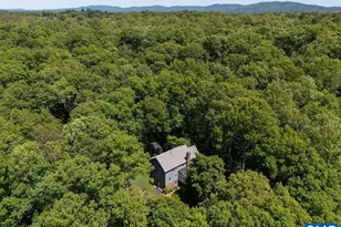 315 Terrell Rd W, Charlottesville, VA 22901 - Photo 41