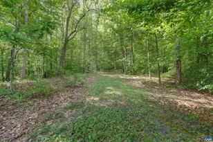 395 Ivy Vista Dr, Charlottesville, VA 22903 - Photo 53