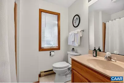 45 Ravens Roost Ln, Wintergreen Resort, VA 22967 - Photo 43