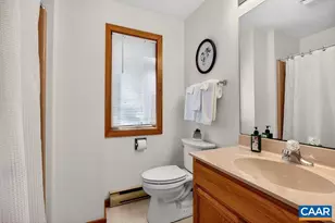 45 Ravens Roost Ln, Wintergreen Resort, VA 22967 - Photo 43