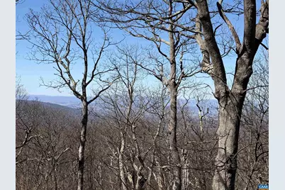 45 Ravens Roost Ln, Wintergreen Resort, VA 22967 - Photo 33
